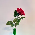 Διαμέρισμα Casa Enol
