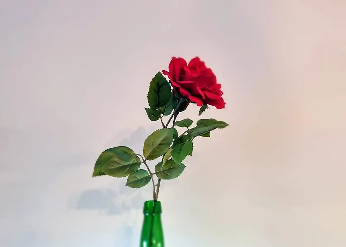 Διαμέρισμα Casa Enol